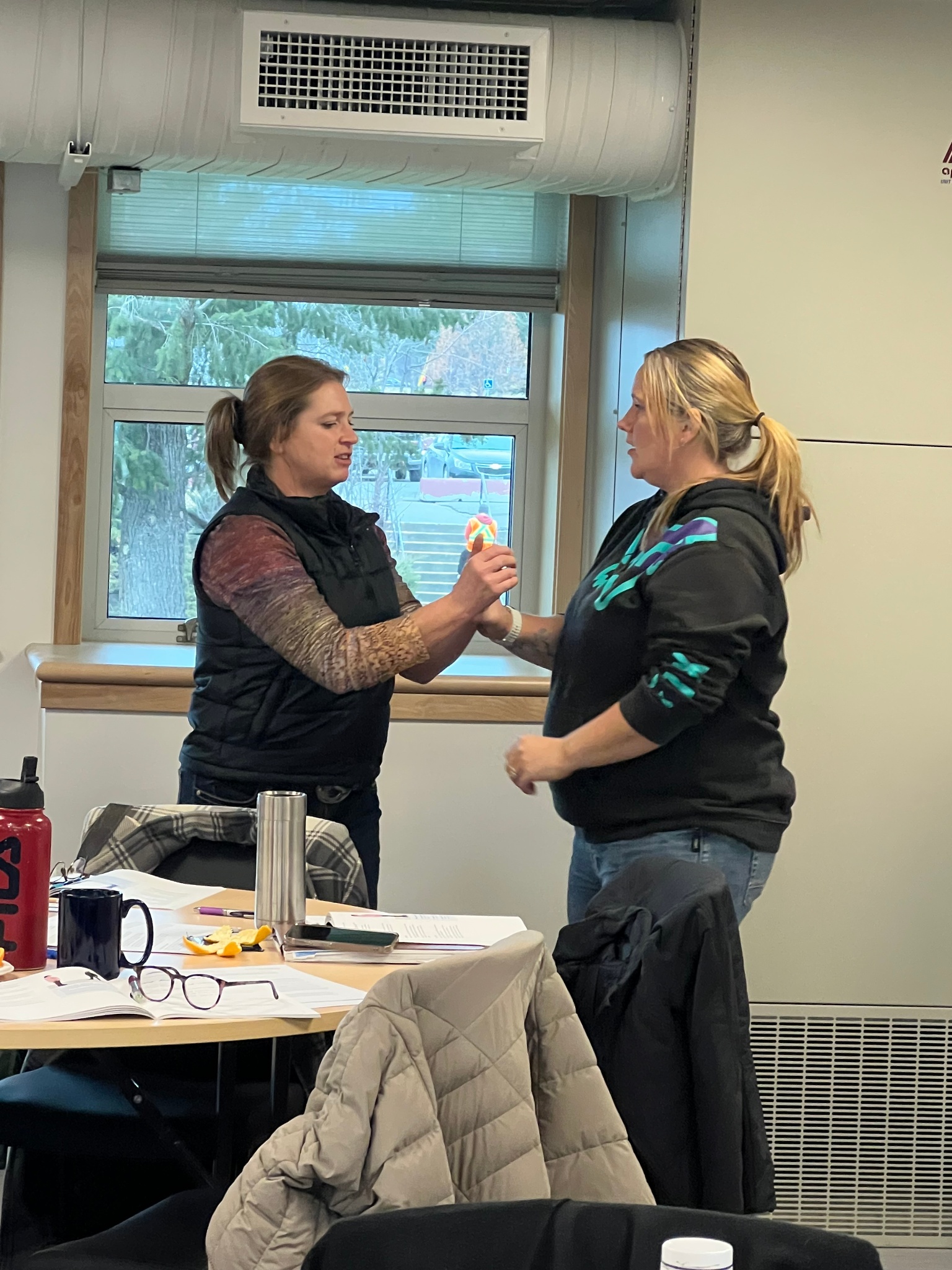 Non violent Crisis Intervention Training2 holly zurak