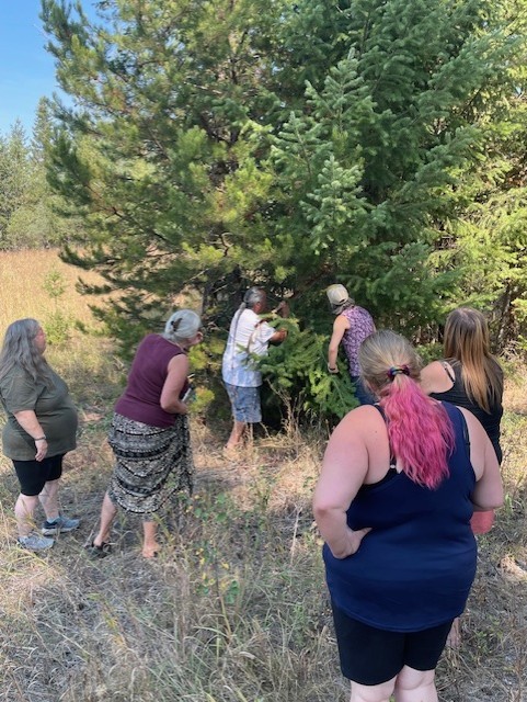 Medicine walk with Mike Archie todd routtu 1 